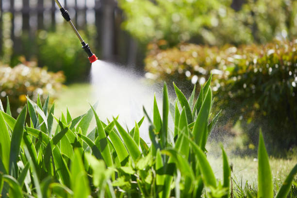24/7 Emergency Mosquito Control experts in Bonner Springs, KS
