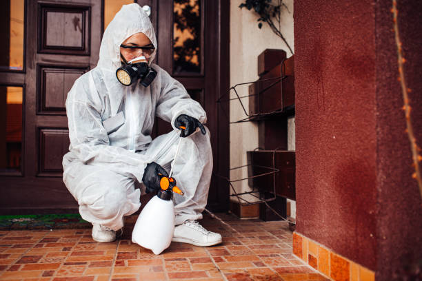 Reliable Mosquito Control contractor in Bonner Springs, KS by Show Me Pest Control